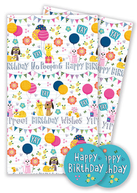 Party 2 sheets of wrap and tags