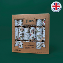 Plantable Christmas crackers