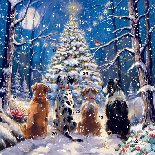 Waiting for Santa square Advent calendar