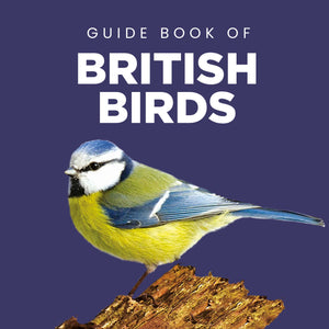Guide Book of British Birds