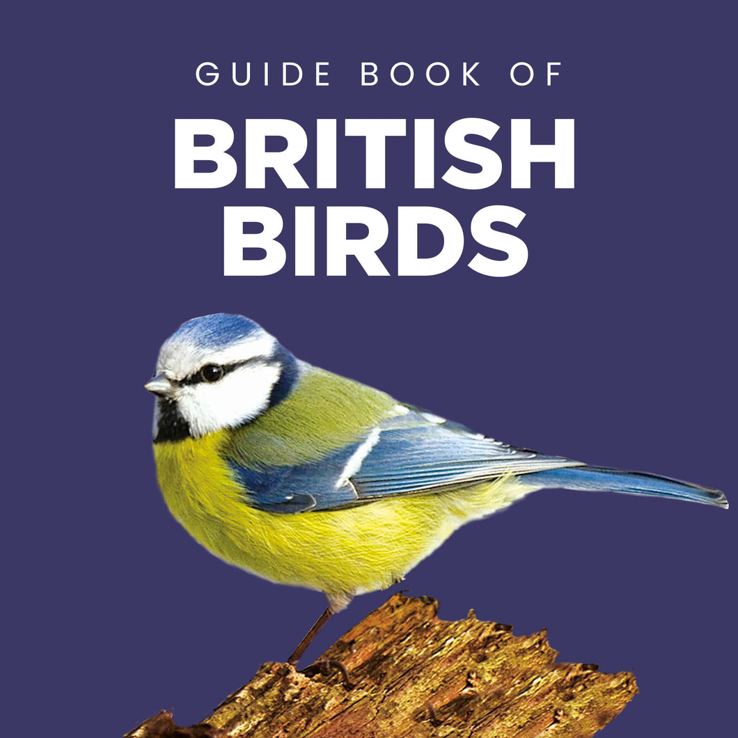 Guide Book of British Birds