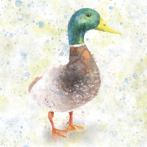 Pastel watercolours charity greeting cards. Pack of 10, 5 designs, 2 of each. Blank for your own message