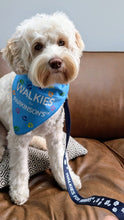 Black Friday offer. Parkinson's UK walkies dog lead