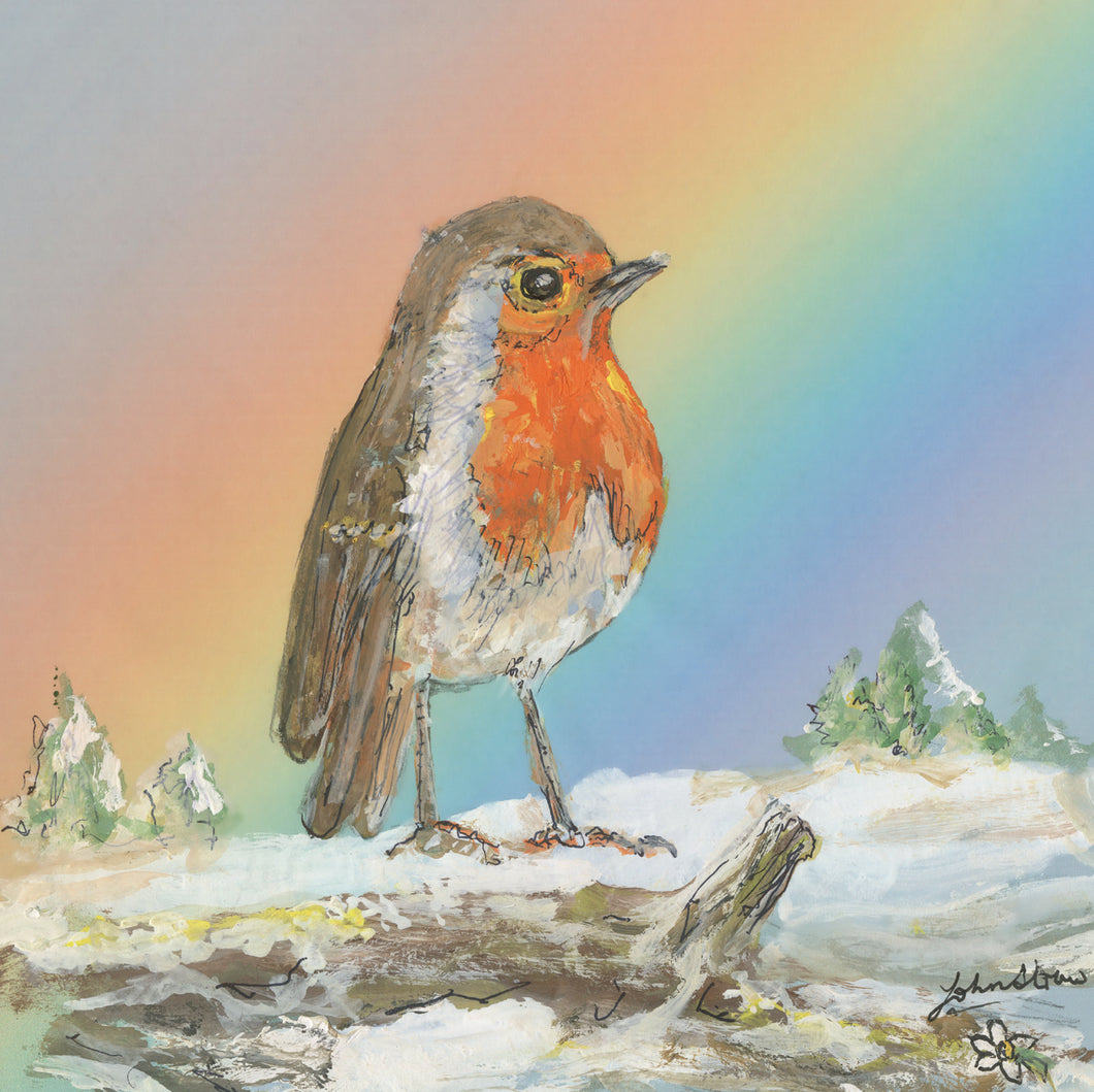 Parkinson's UK Robin and rainbow charity Christmas cards