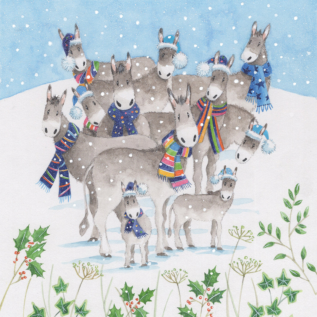 Parkinson's UK Cosy donkeys charity Christmas cards