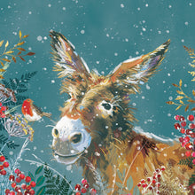 Parkinson's UK Donkey and robin charity Christmas cards