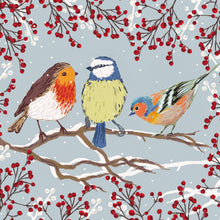 Parkinson's UK Garden birds charity Christmas cards