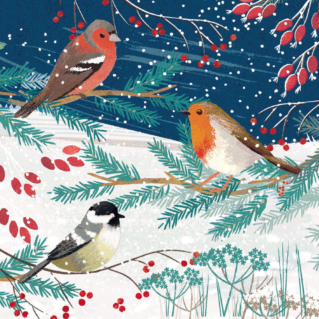 Parkinson's UK charity Christmas cards. Birds and berries design. Pack of 10 cards