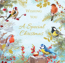 Parkinson's UK charity Christmas cards. Winter birds. Pack of 10 cards