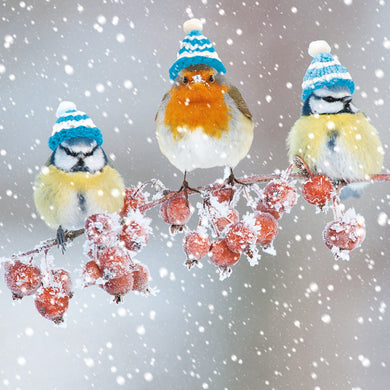 Parkinson's UK charity Christmas cards. Frosty trio design. Pack of 10 cards