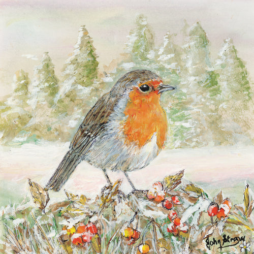 Parkinson's UK charity Christmas cards. Robin winter wonderland design. Pack of 10 cards.