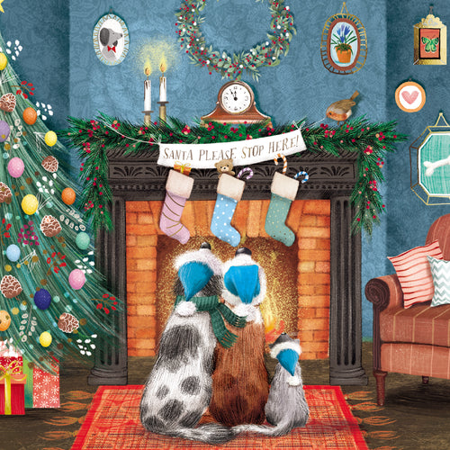 Parkinson's UK charity Christmas cards. Waiting by the fireside design. Pack of 10 cards.