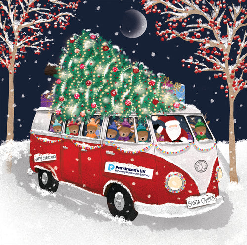 Parkinson's UK charity Christmas cards. Home for Christmas design. Pack of 10 cards.