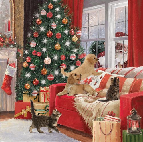 Parkinson's UK charity Christmas cards. Waiting for Santa design. Pack of 10 cards.
