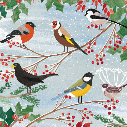 Parkinson's UK charity Christmas cards. Birds and berries design. Pack of 10 cards.