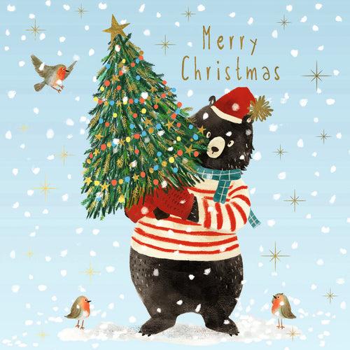 Parkinson's UK charity Christmas cards. Bear-y Christmas design. Pack of 10 cards.