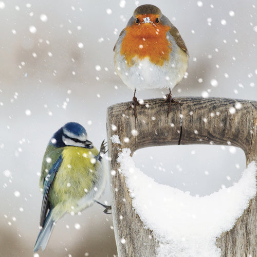 Parkinson's UK charity Christmas cards. Frosty tweet design. Pack of 10 cards.