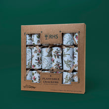 Plantable Christmas crackers