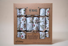 Plantable Christmas crackers