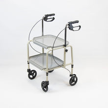 Combination wheeled trolley walker and standing aid with hand brakes