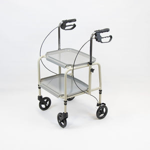 Combination wheeled trolley walker and standing aid with hand brakes