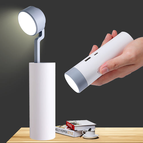 Foldaway portable light