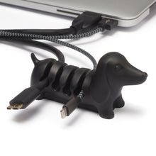 Dog 4 cord holder
