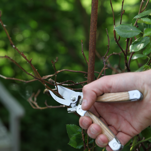 Stainless steel garden multitool