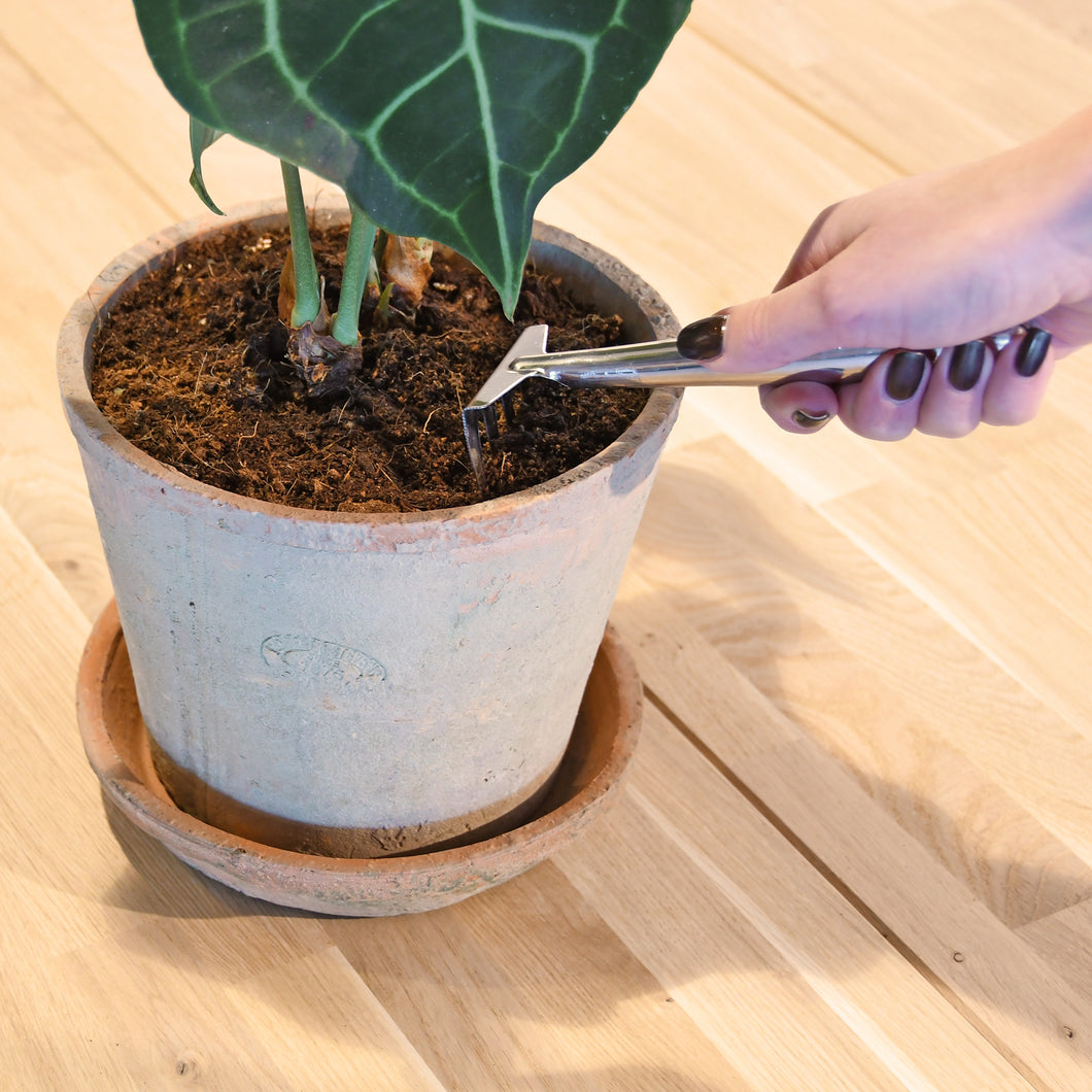 Indoor garden rake