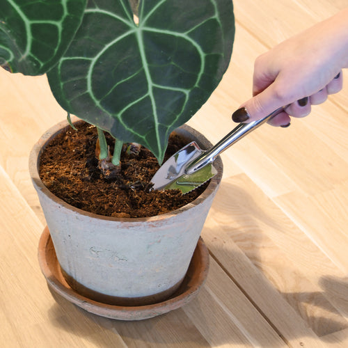 Indoor garden shovel