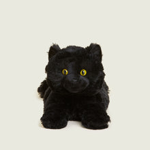 Black cat weighted microwaveable warmie