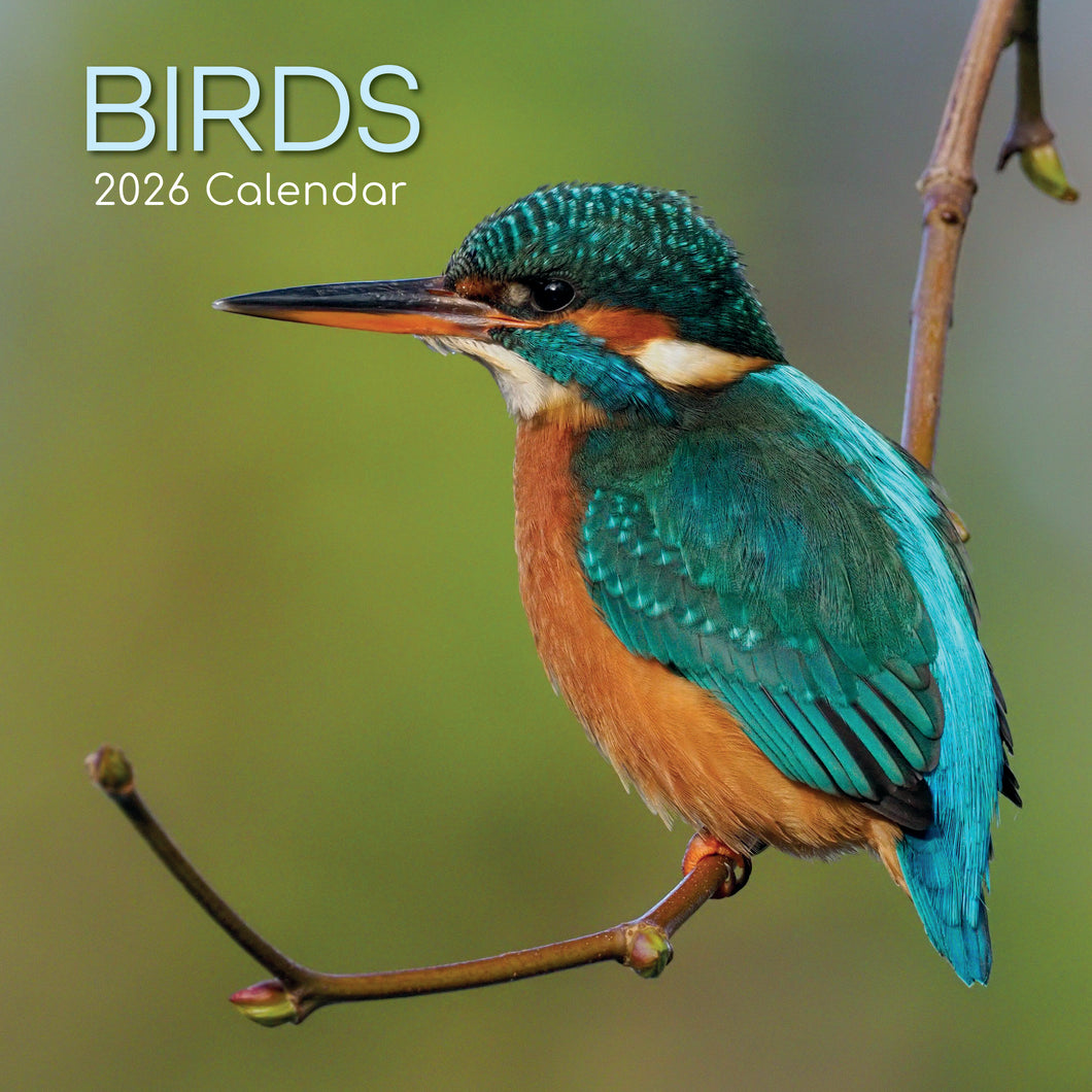 Birds 2026 calendar