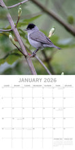 Birds 2026 calendar