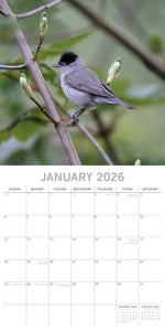 Birds 2026 calendar