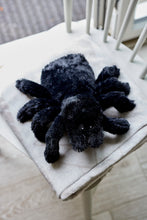 Spider Warmie