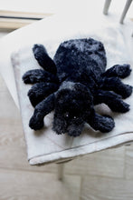 Spider Warmie