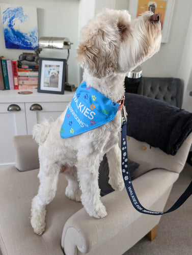 Parkinson's UK walkies dog lead