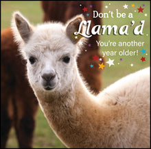 Birthday photo animals birthday cards. Pack of 10 cards. 5 design pack. Greeting: Happy birthday