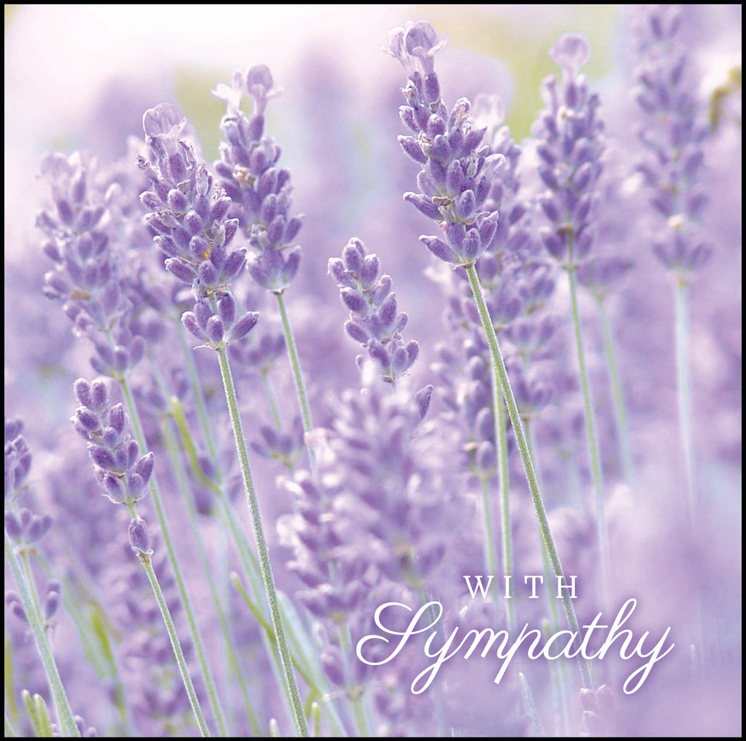 Lavender sympathy card. Greeting: Blank for your own message