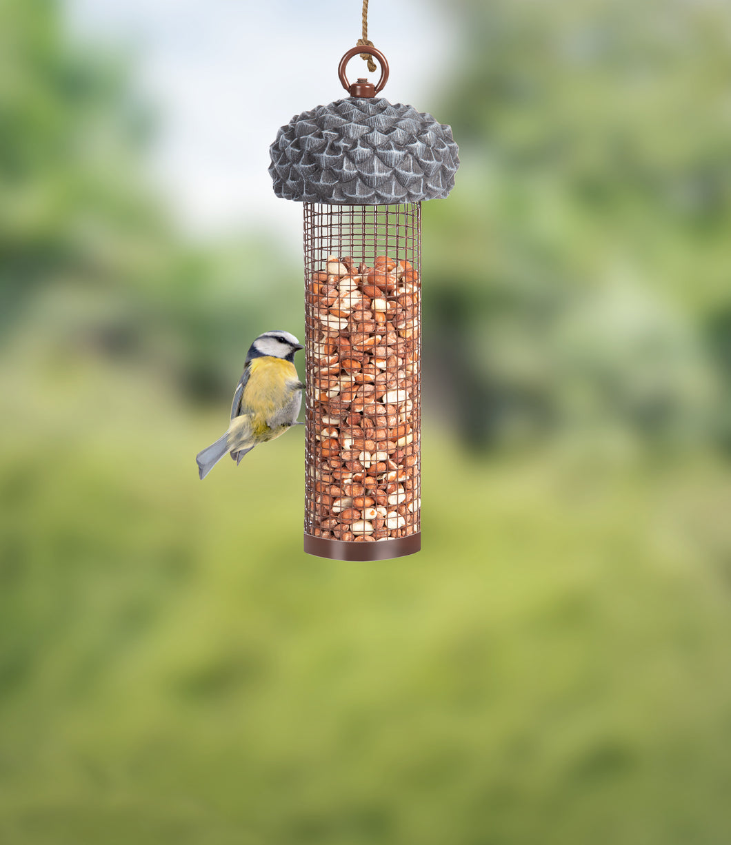 Acorn nut bird feeder.